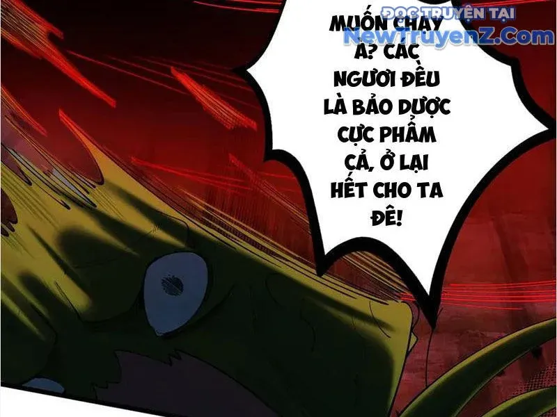 đọc truyện Gặp Mạnh Thì Càng Mạnh, Tu Vi Của Ta Không Giới Hạn Chương 48 ảnh 13 tại Giả Dược