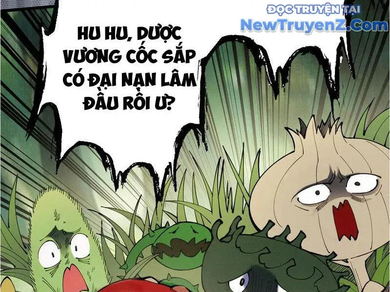 đọc truyện Gặp Mạnh Thì Càng Mạnh, Tu Vi Của Ta Không Giới Hạn Chương 48 ảnh 4 tại Giả Dược