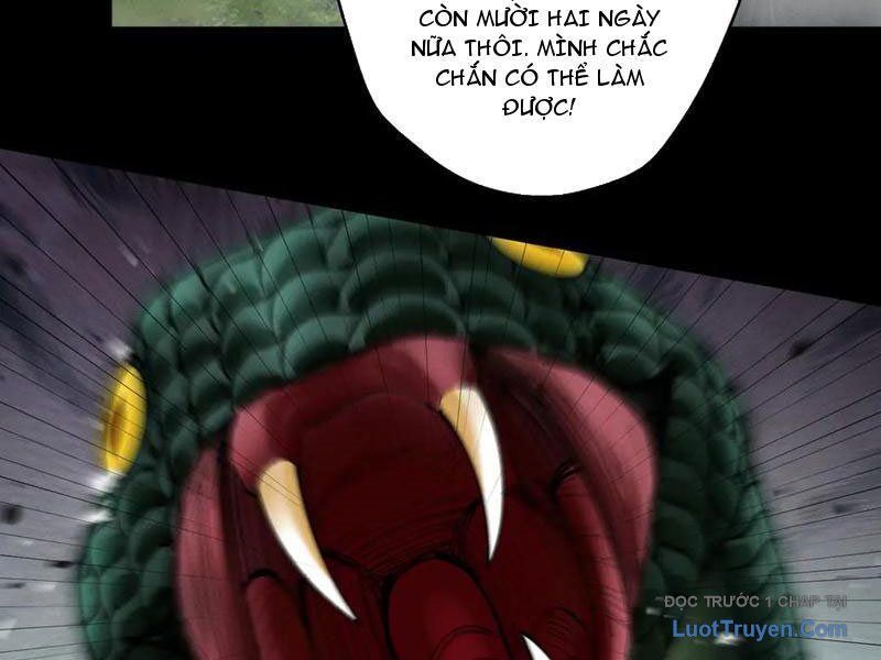 đọc truyện Gặp Mạnh Thì Càng Mạnh, Tu Vi Của Ta Không Giới Hạn Chương 78 ảnh 27 tại Thiên Thai Truyện