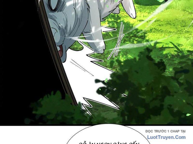 đọc truyện Gặp Mạnh Thì Càng Mạnh, Tu Vi Của Ta Không Giới Hạn Chương 78 ảnh 71 tại Thiên Thai Truyện