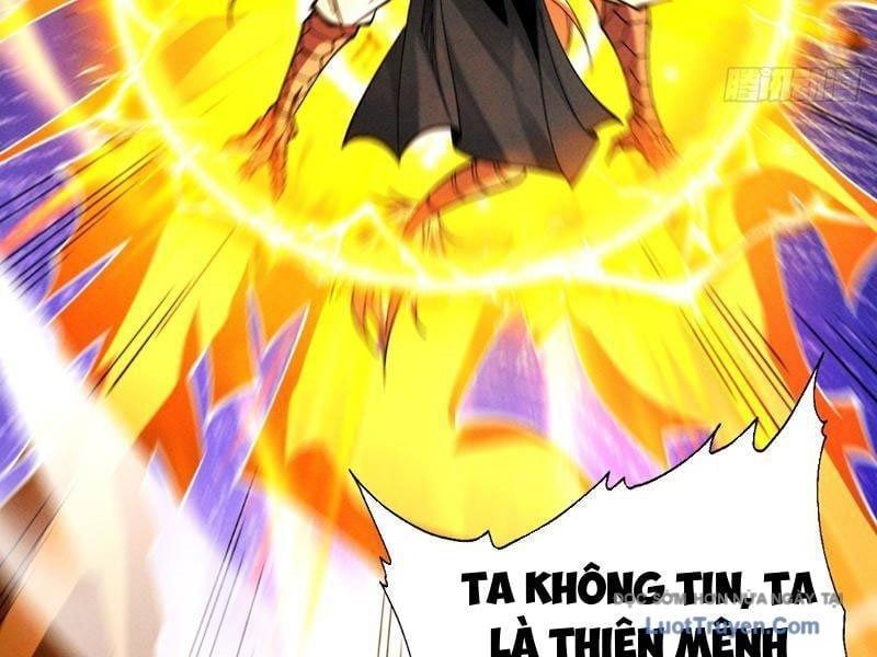 đọc truyện Gặp Mạnh Thì Càng Mạnh, Tu Vi Của Ta Không Giới Hạn Chương 85 ảnh 147 tại Thiên Thai Truyện