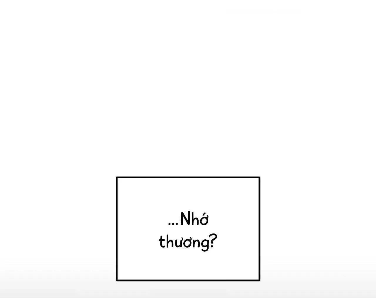 đọc truyện Gấu Teddy Thân Yêu Chương 31 ảnh 4 tại Thiên Thai Truyện