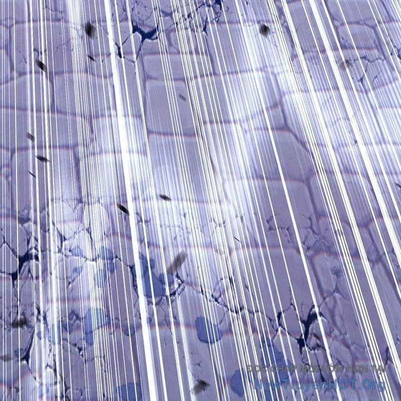 đọc truyện Gậy Gỗ Cấp 99+ Chương 145 ảnh 182 tại Thiên Thai Truyện