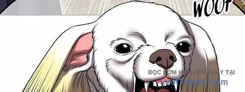 đọc truyện Gậy Gỗ Cấp 99+ Chương 163 ảnh 256 tại Thiên Thai Truyện