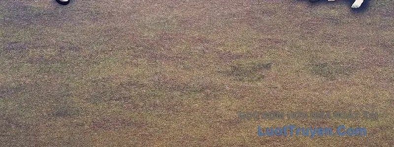 đọc truyện Gậy Gỗ Cấp 99+ Chương 163 ảnh 446 tại Thiên Thai Truyện