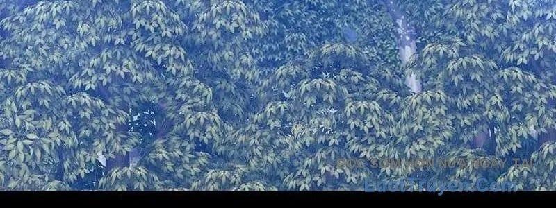 đọc truyện Gậy Gỗ Cấp 99+ Chương 163 ảnh 571 tại Thiên Thai Truyện