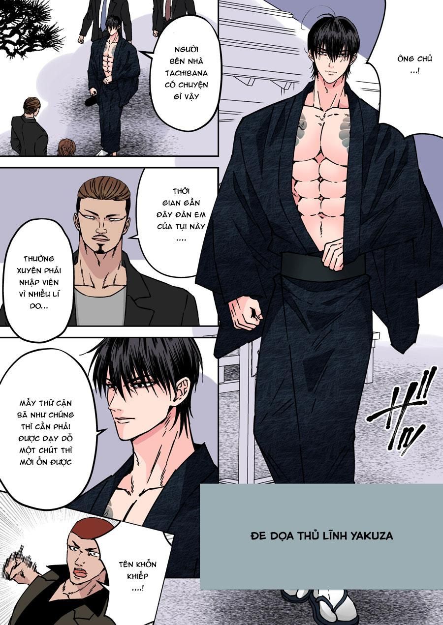 đọc truyện Gia Đình Yakuza Bị Cưỡng Hiếp Chương 2 ảnh 3 tại Giả Dược
