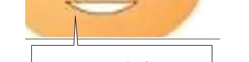 Giả Dược Chương 59 page 5 - Giả Dược