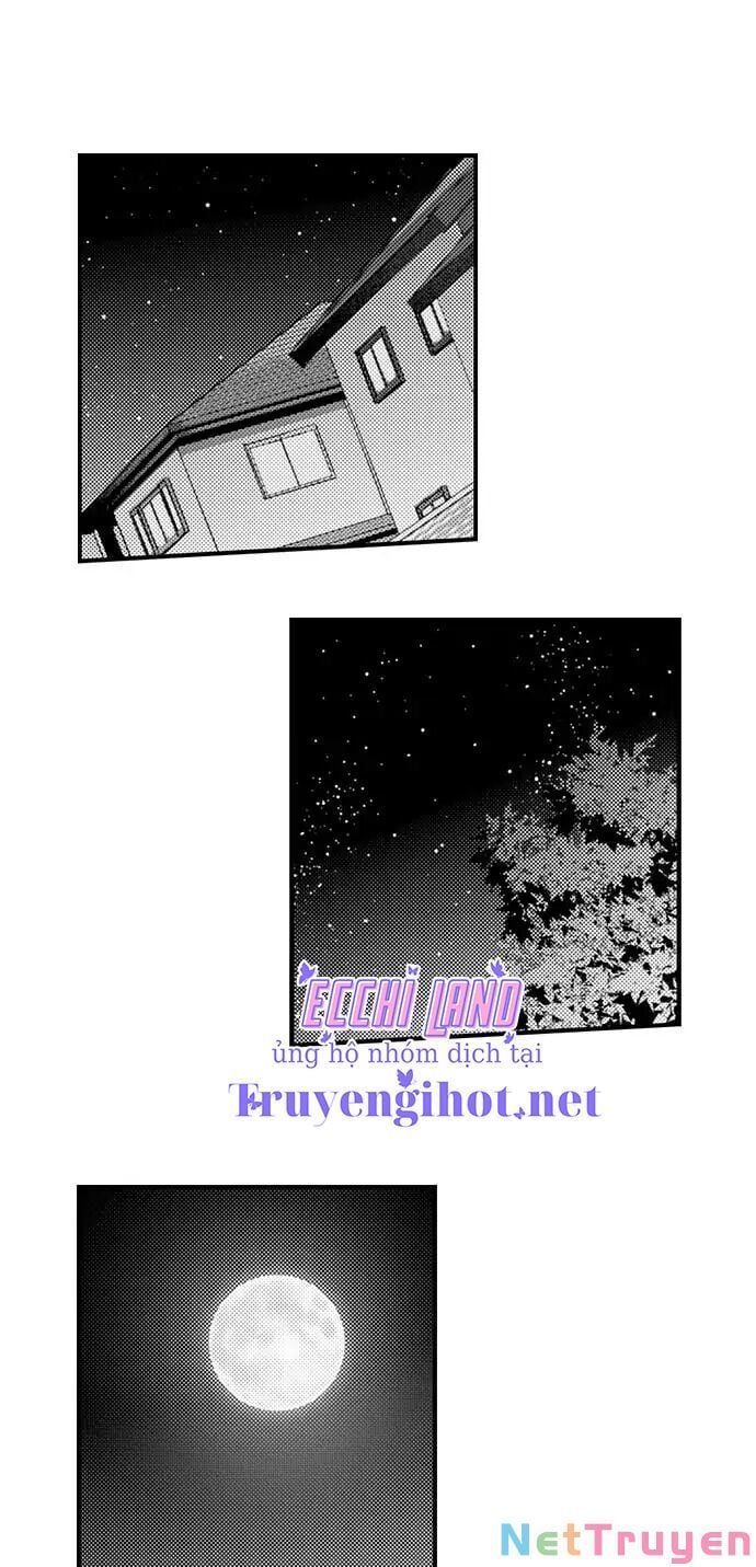 Giả Vờ Ngủ Cũng Không Ngăn Được Anh Ấy Chương 127.1 page 3 - Giả Dược