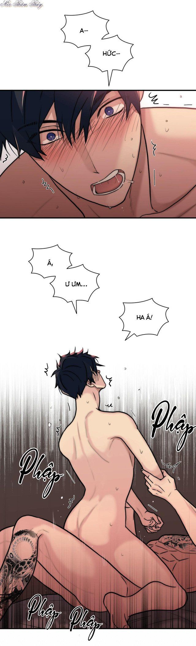 đọc truyện Giai Điệu Của Ngôn Ngữ Chương 59 ảnh 5 tại Thiên Thai Truyện