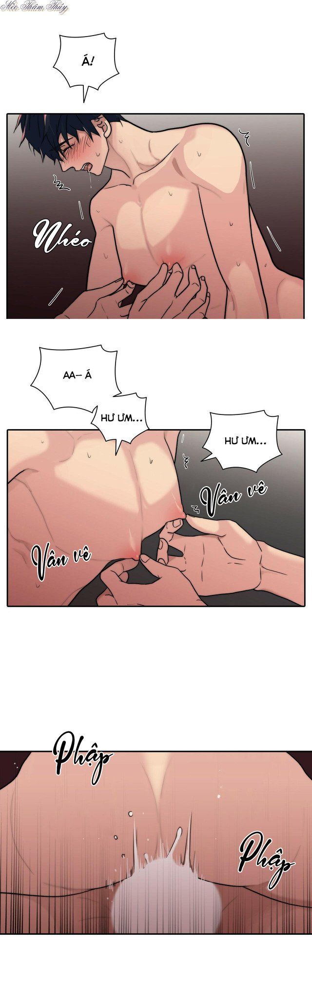 đọc truyện Giai Điệu Của Ngôn Ngữ Chương 59 ảnh 8 tại Thiên Thai Truyện