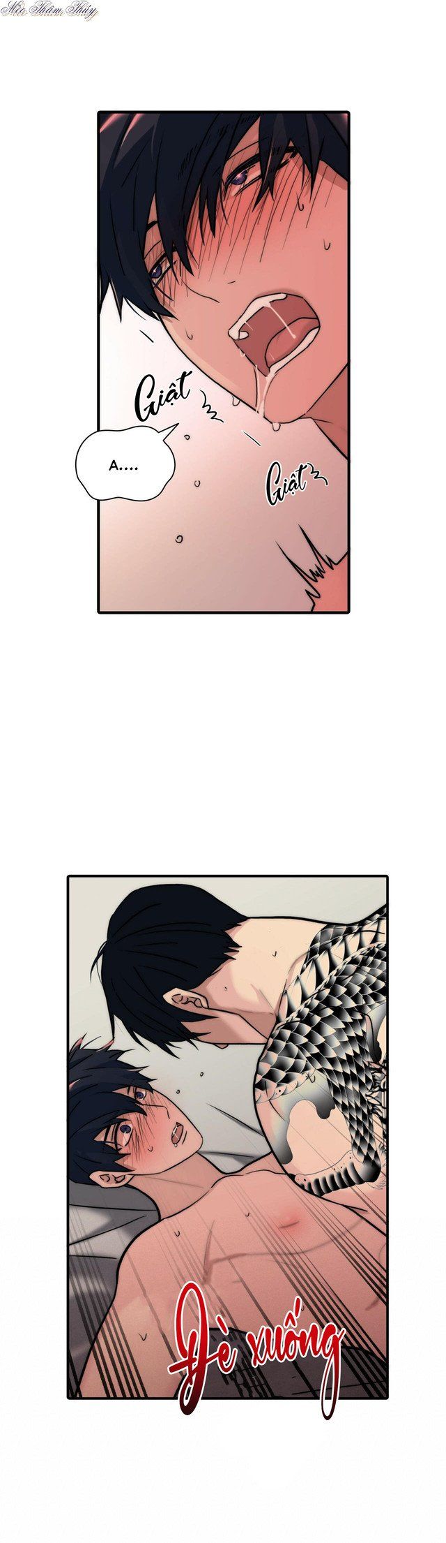 đọc truyện Giai Điệu Của Ngôn Ngữ Chương 59 ảnh 9 tại Thiên Thai Truyện