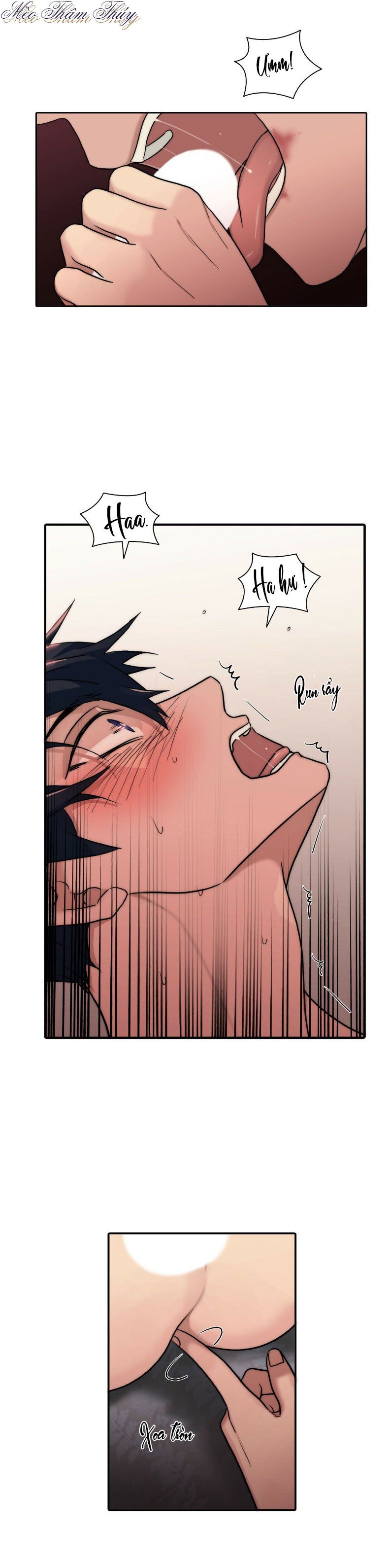 đọc truyện Giai Điệu Của Ngôn Ngữ Chương 65 ảnh 7 tại Thiên Thai Truyện