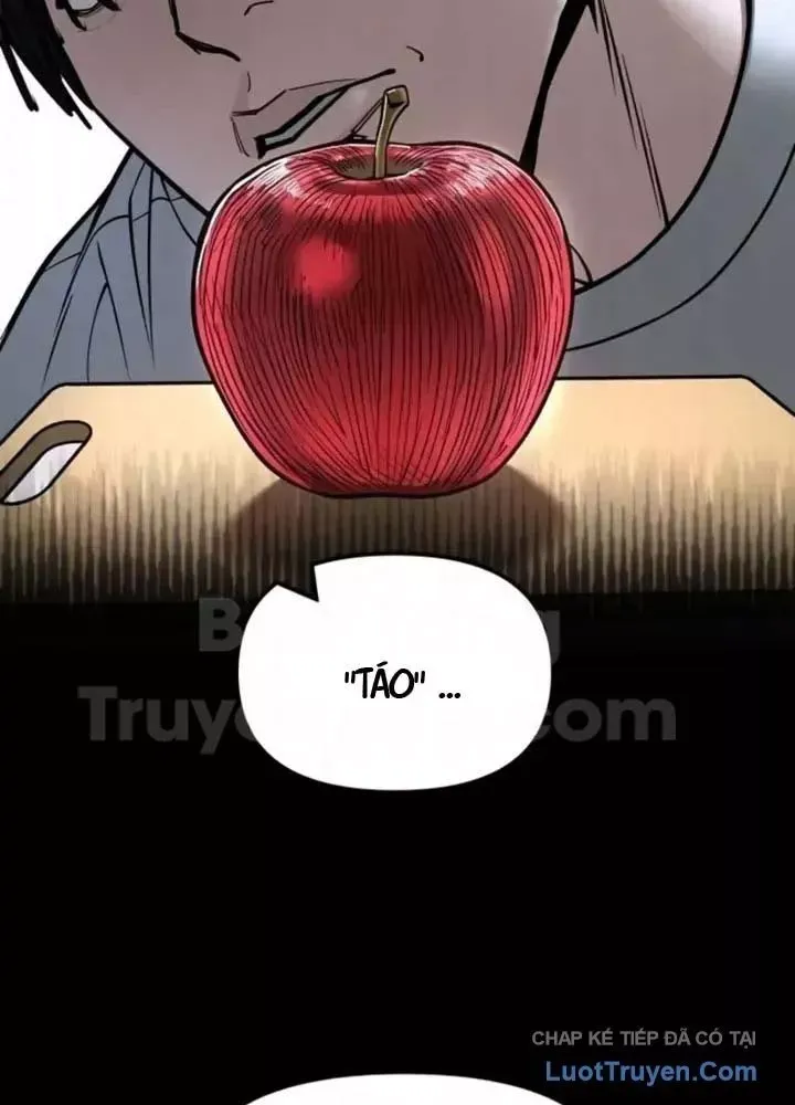 đọc truyện Giang Hồ Thực Thi Công Lý Chương 168 ảnh 69 tại Thiên Thai Truyện