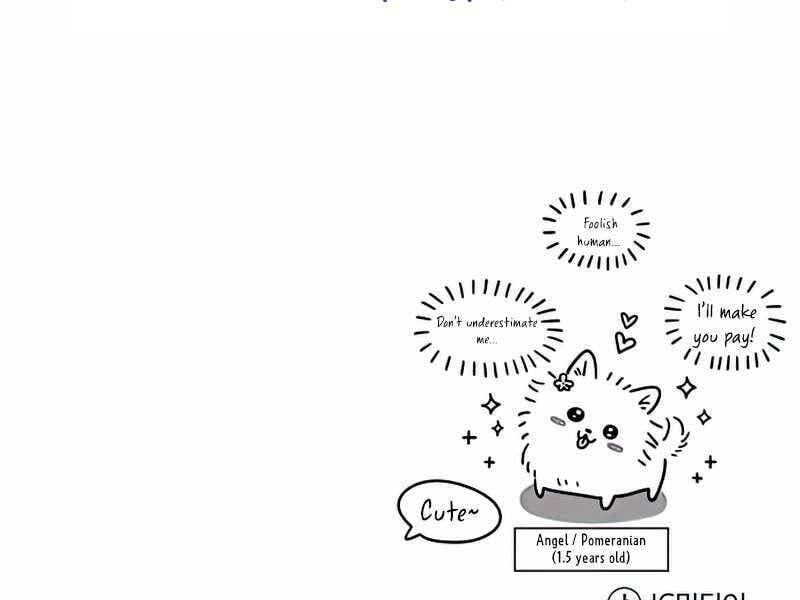 đọc truyện Giáo Sư Gián Điệp Chương 11 ảnh 246 tại Thiên Thai Truyện