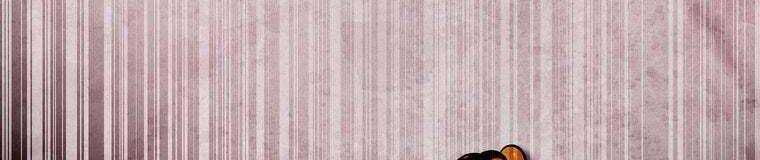 đọc truyện Giáo Viên Ác Quỷ Saiko Chương 27 ảnh 486 tại Thiên Thai Truyện