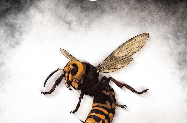 đọc truyện Giáo Viên Ác Quỷ Saiko Chương 86 ảnh 276 tại Thiên Thai Truyện