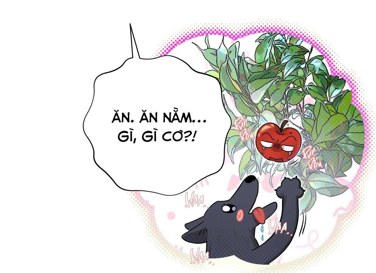 đọc truyện Giáo Xuyên Thủng Khiên Chương 4 ảnh 5 tại Thiên Thai Truyện