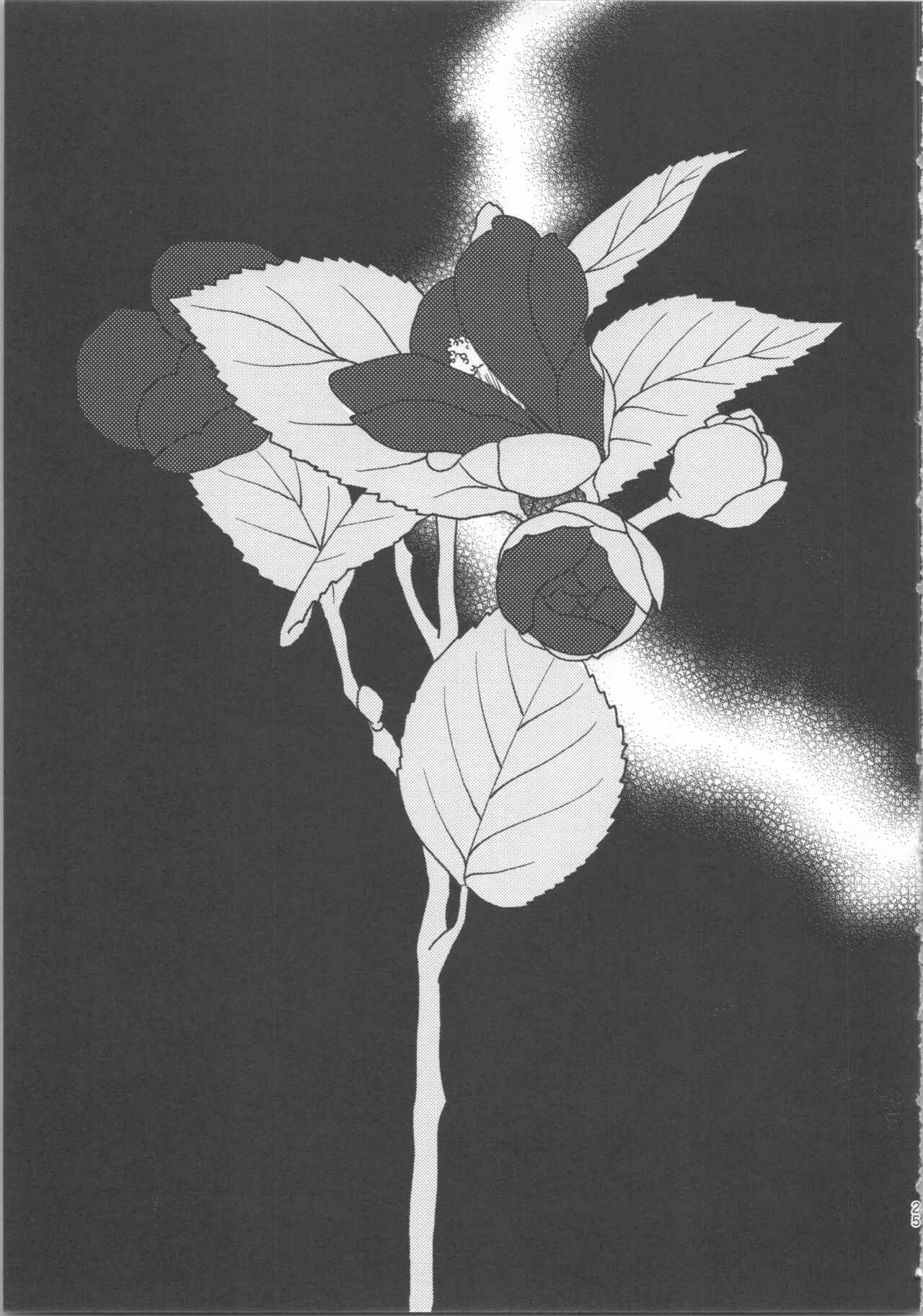 đọc truyện Giỏ Hoa Của Giây Tàn Chương 1 ảnh 25 tại Thiên Thai Truyện