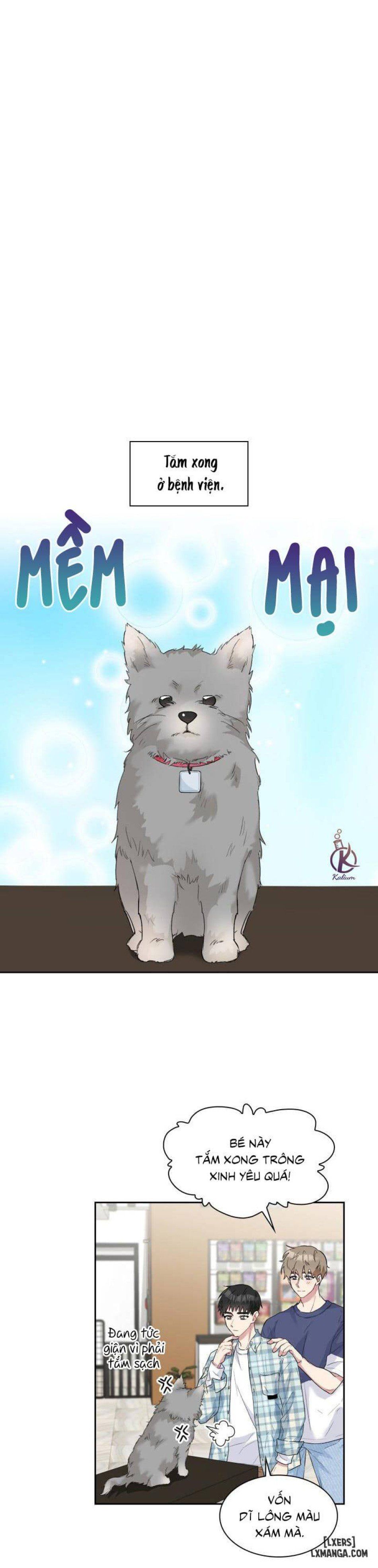 đọc truyện Giọt Mưa Chương 25 ảnh 24 tại Thiên Thai Truyện