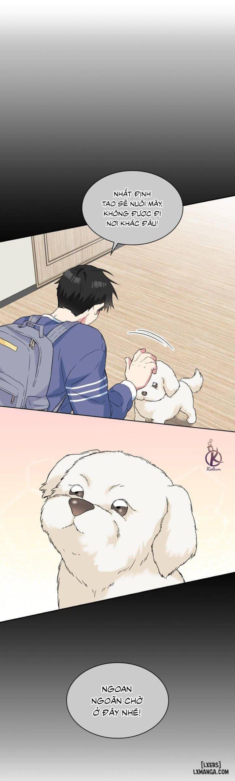 đọc truyện Giọt Mưa Chương 29 ảnh 12 tại Thiên Thai Truyện