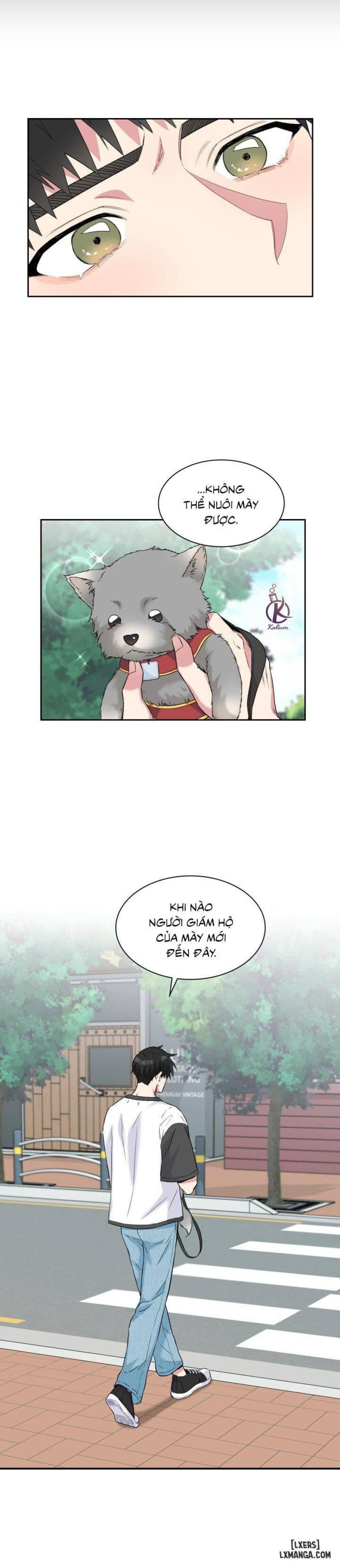 đọc truyện Giọt Mưa Chương 29 ảnh 13 tại Thiên Thai Truyện