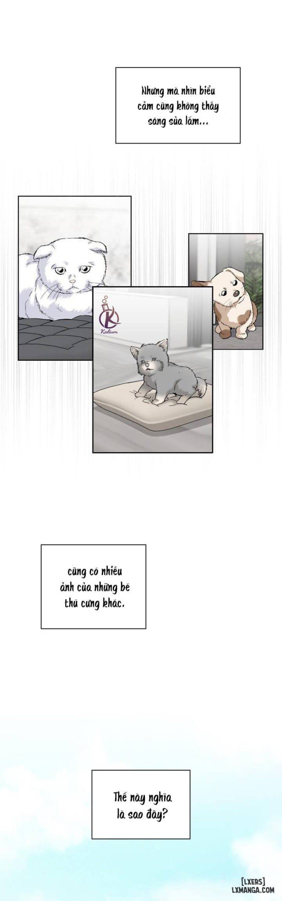 đọc truyện Giọt Mưa Chương 30 ảnh 9 tại Thiên Thai Truyện