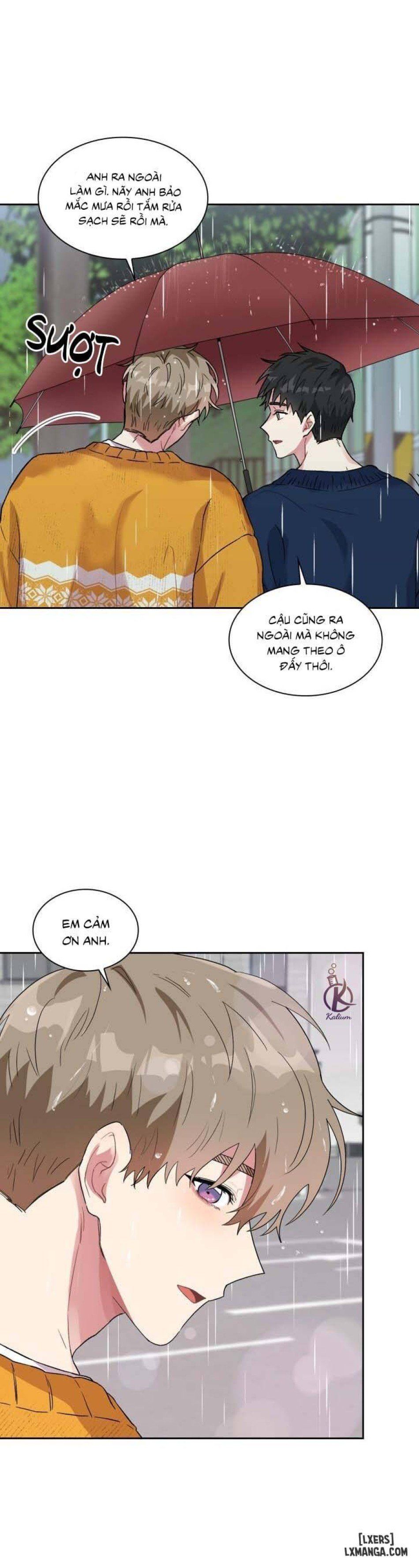 đọc truyện Giọt Mưa Chương 36 ảnh 3 tại Thiên Thai Truyện