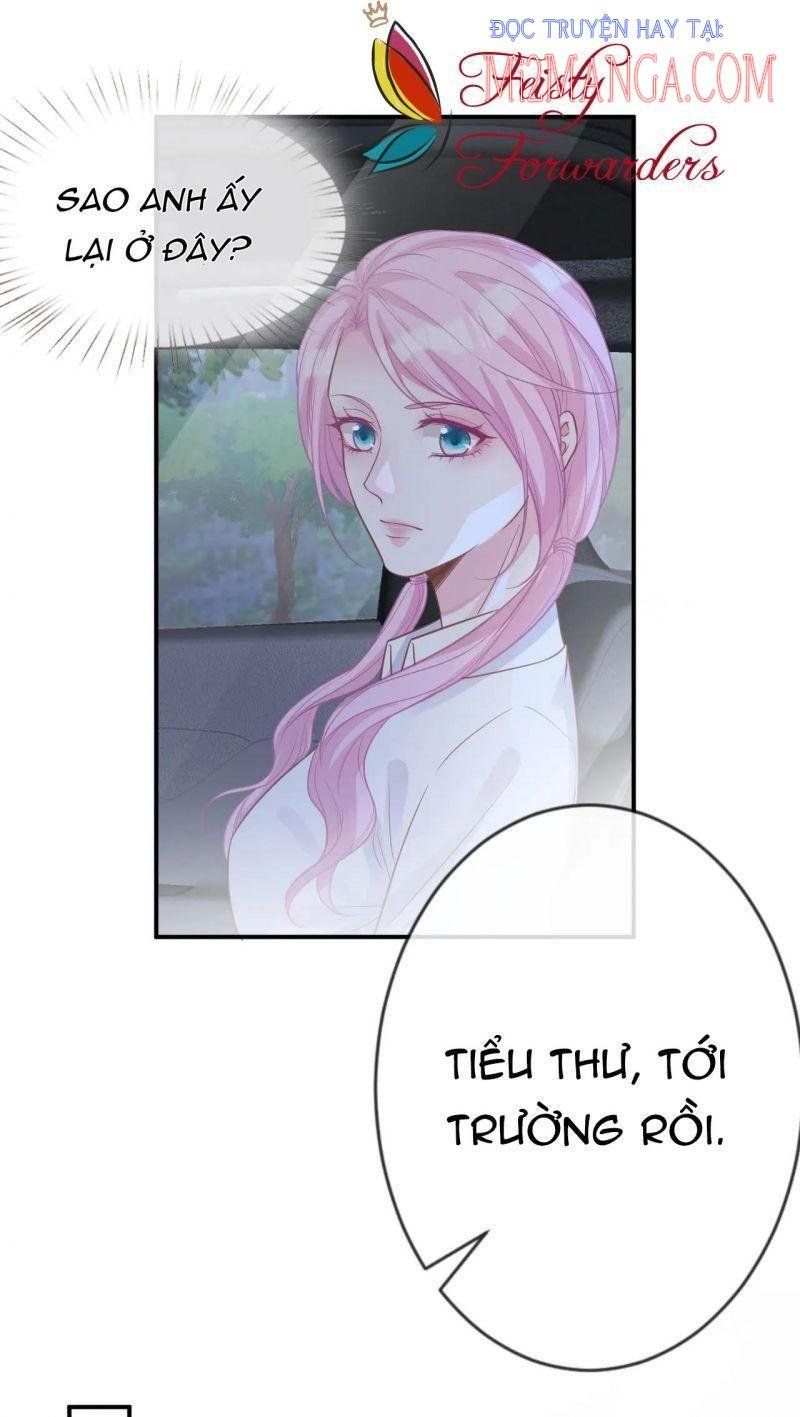 đọc truyện Giữ Kín Thân Phận Giả Của Tôi Chương 17 ảnh 12 tại Thiên Thai Truyện