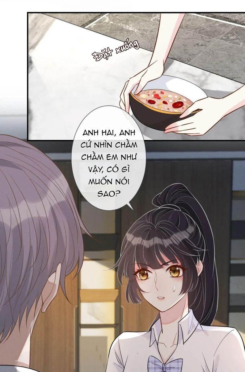 đọc truyện Giữ Kín Thân Phận Giả Của Tôi Chương 8 ảnh 33 tại Thiên Thai Truyện