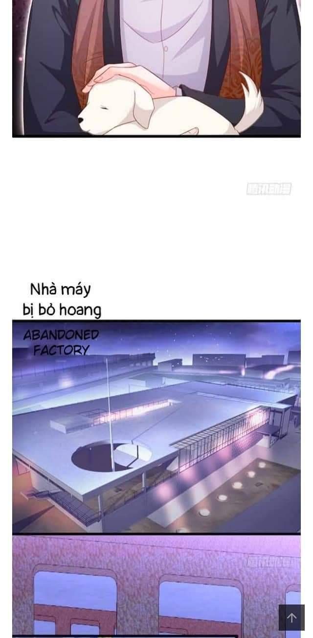 đọc truyện Hắc Đạo Đáng Yêu Chương 102 ảnh 24 tại Truyện Dạ Ký