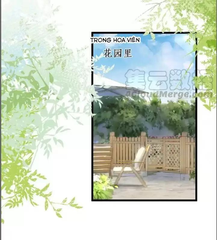 đọc truyện Hắc Đạo Đáng Yêu Chương 214 ảnh 28 tại Truyện Dạ Ký