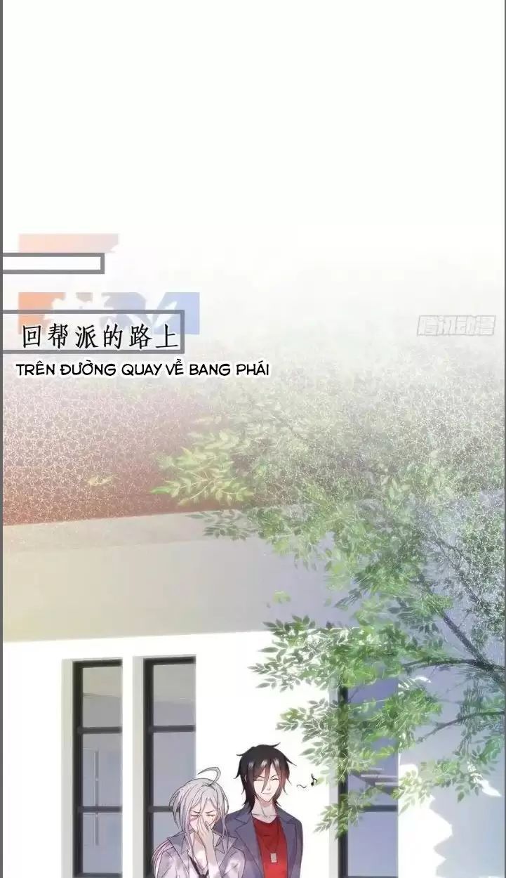 đọc truyện Hắc Đạo Đáng Yêu Chương 234 ảnh 33 tại Truyện Dạ Ký