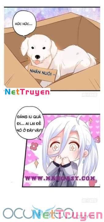 đọc truyện Hắc Đạo Đáng Yêu Chương 50 ảnh 36 tại Truyện Dạ Ký