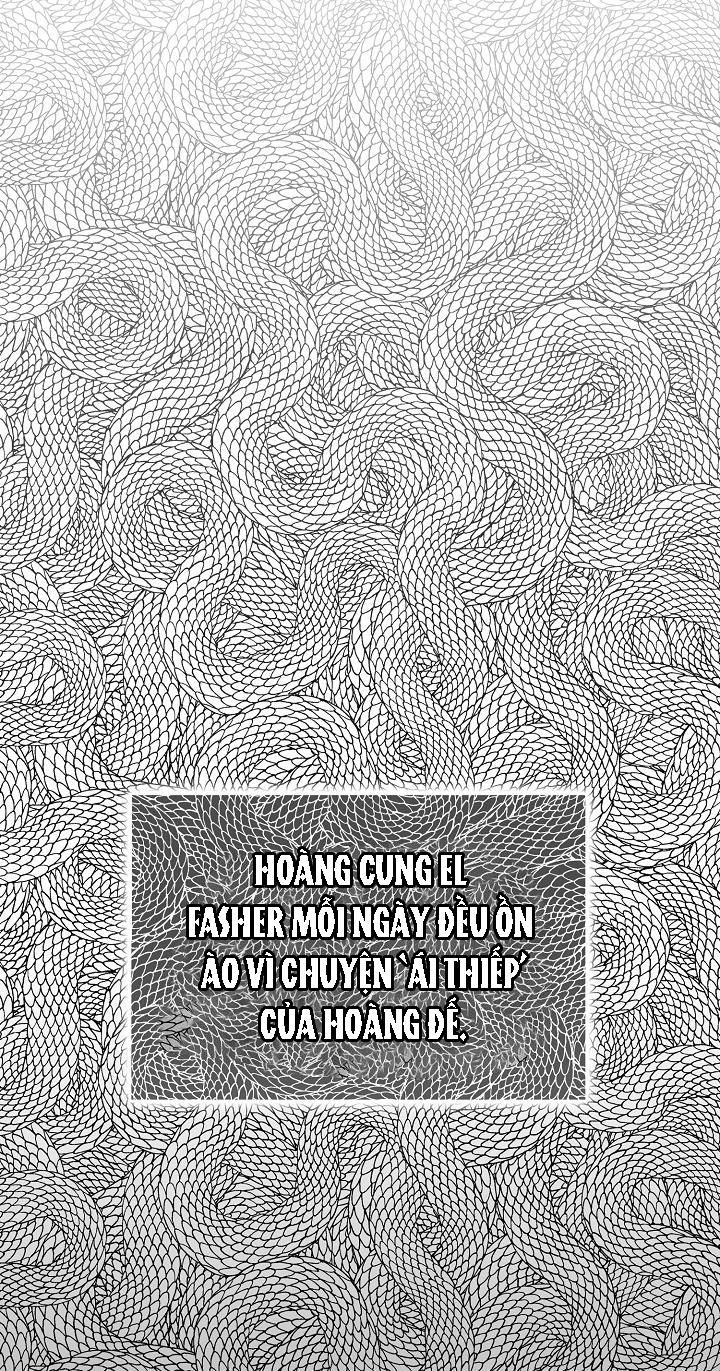 đọc truyện Hai Đất Nước, Đất Nước Của Nô Lệ Chương 20 ảnh 10 tại Truyện Dạ Ký