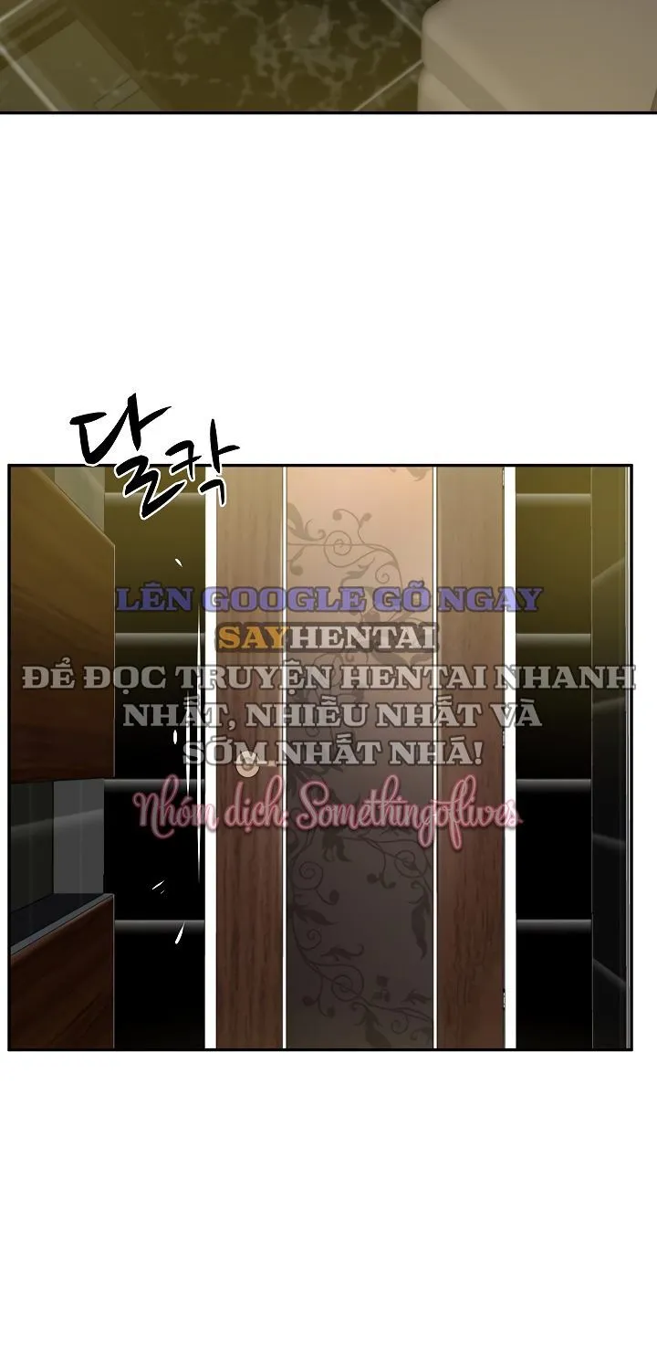 đọc truyện Hàng Khủng Của Con Rể Tỉ Phú Chương 19 ảnh 21 tại Thiên Thai Truyện