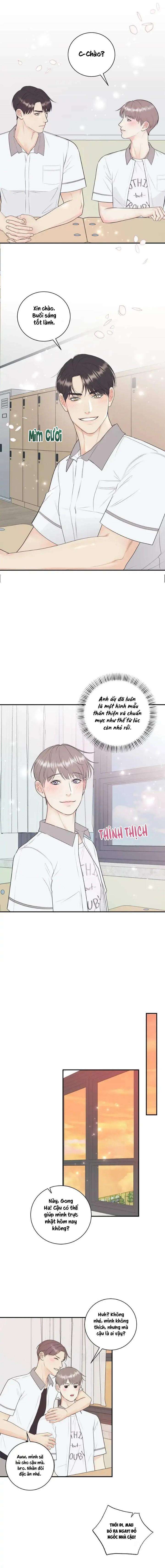 đọc truyện Hạnh Phúc Trọn Vẹn Chương 67 ảnh 8 tại Thiên Thai Truyện