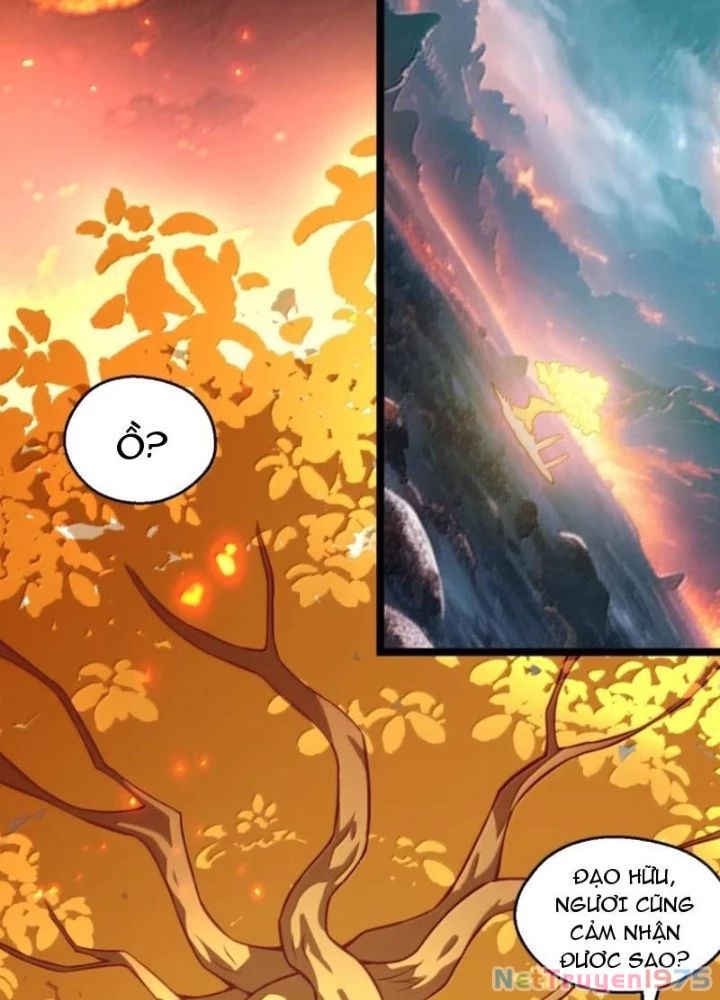 đọc truyện Hảo Đồ Nhi Hãy Tha Cho Vi Sư Chương 350 ảnh 38 tại Thiên Thai Truyện