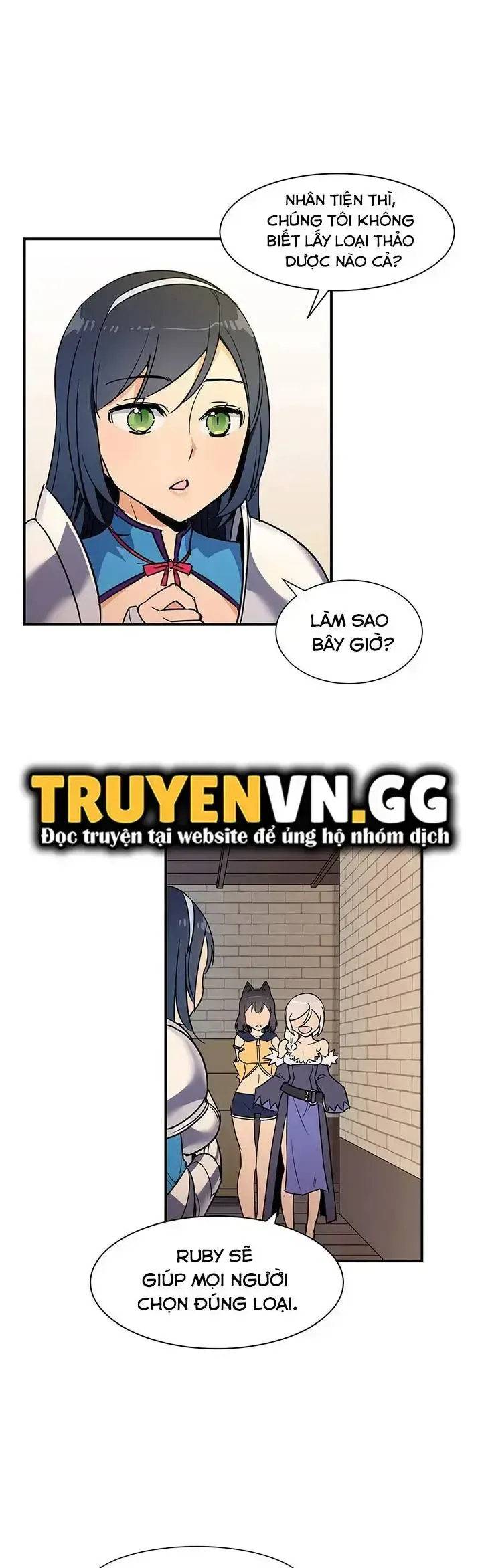 đọc truyện Harem Của Anh Hùng Chương 13 ảnh 17 tại Giả Dược