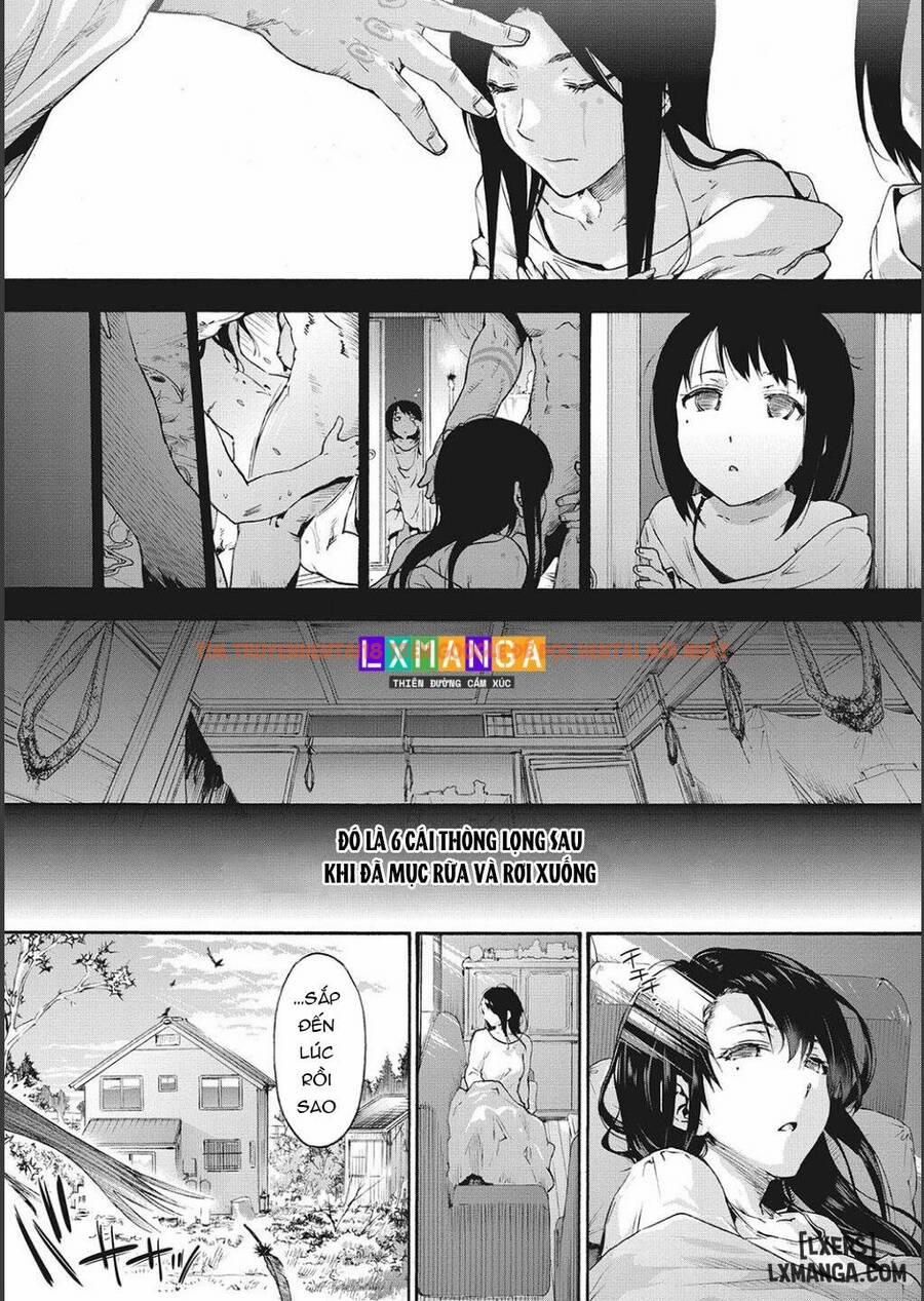 đọc truyện Harem Cult Side Cult Chương 1 ảnh 5 tại Thiên Thai Truyện