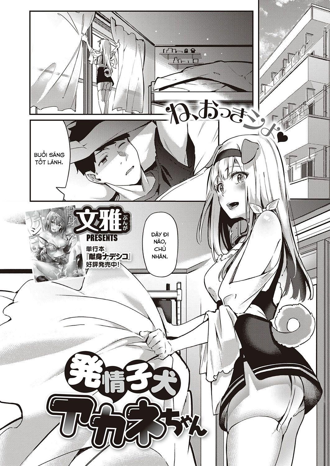 đọc truyện Hatsujou Koinu Akane-chan Oneshot ảnh 2 tại Giả Dược