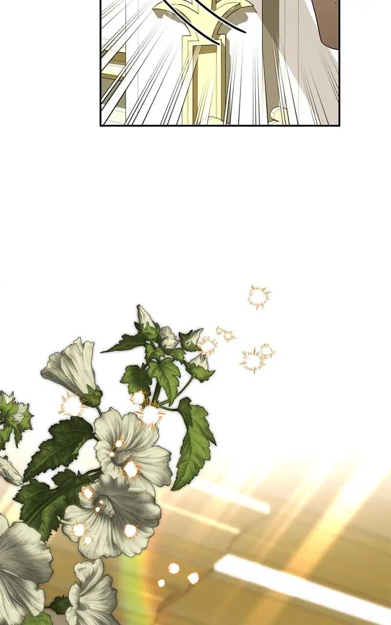 đọc truyện Hậu Cung Của Nữ Chính Chương 114.1 ảnh 44 tại Thiên Thai Truyện