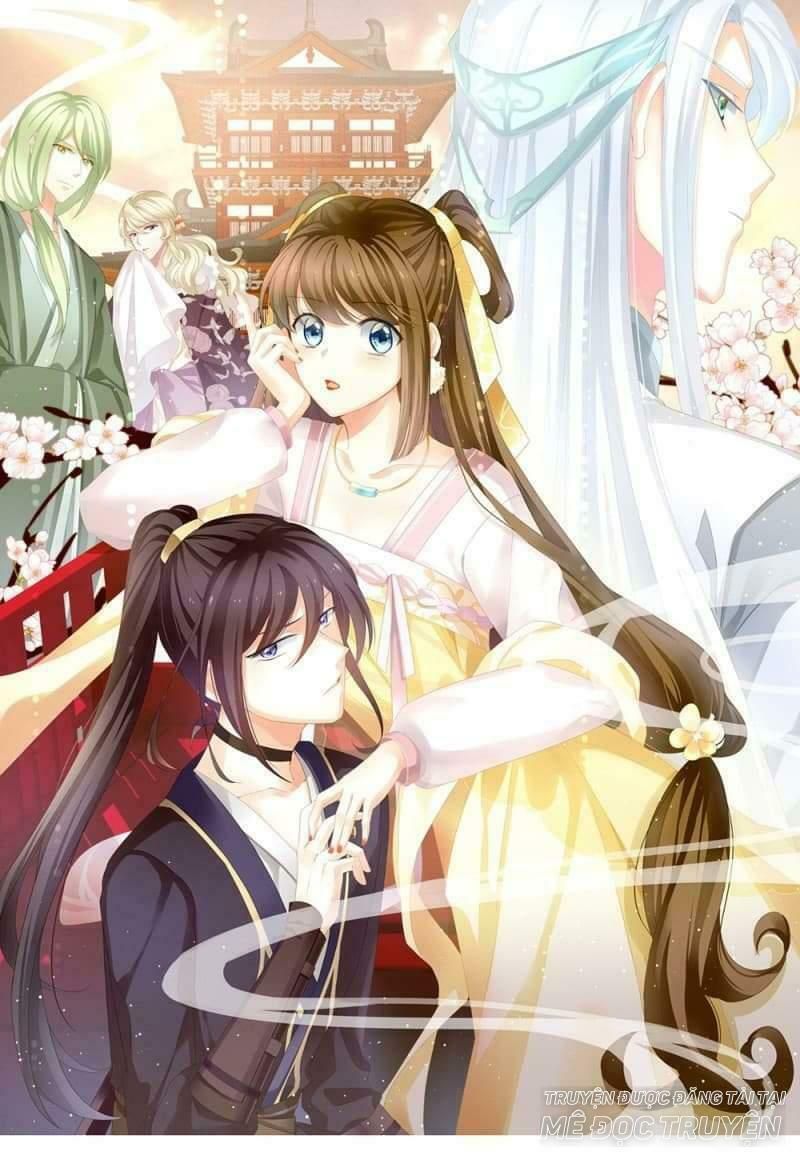 đọc truyện Hậu Cung Của Nữ Đế Chương 11 ảnh 3 tại Thiên Thai Truyện