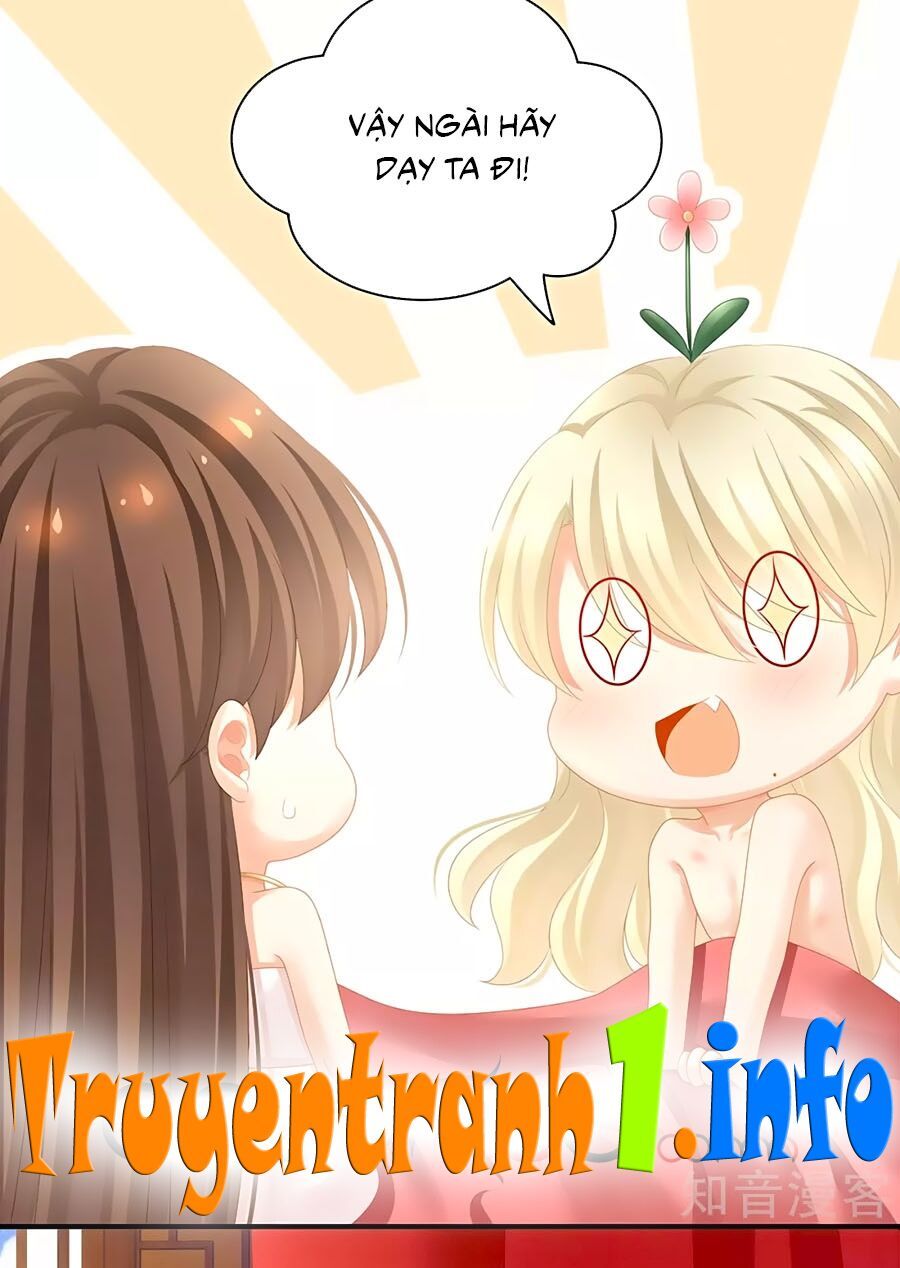 đọc truyện Hậu Cung Của Nữ Đế Chương 110 ảnh 15 tại Thiên Thai Truyện