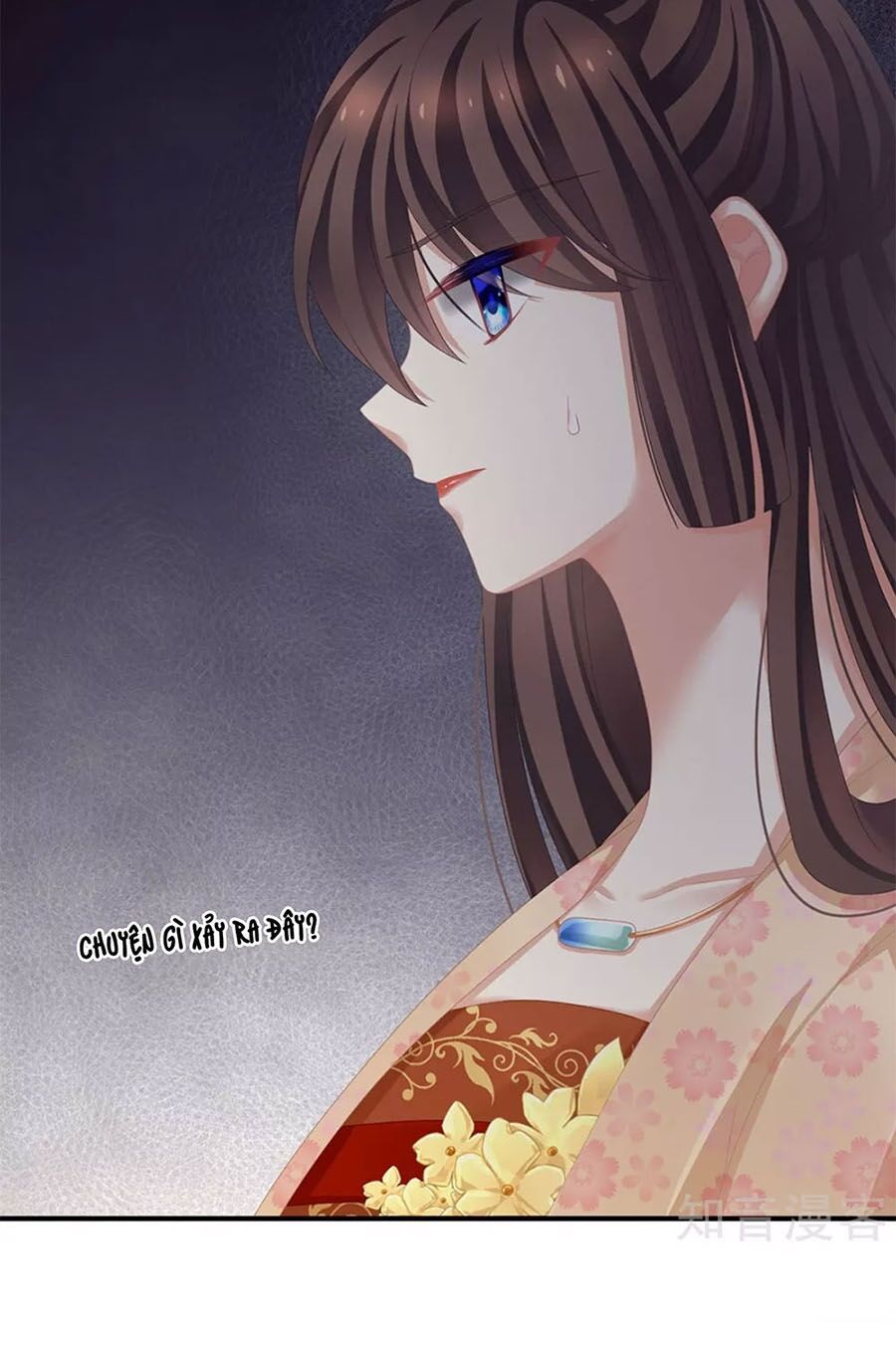 đọc truyện Hậu Cung Của Nữ Đế Chương 117 ảnh 8 tại Thiên Thai Truyện