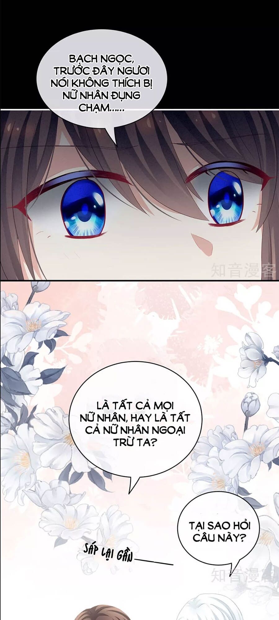 đọc truyện Hậu Cung Của Nữ Đế Chương 120 ảnh 26 tại Thiên Thai Truyện