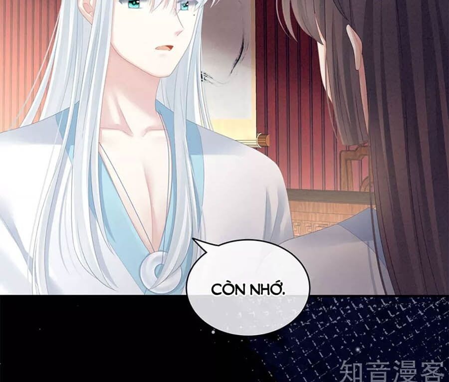 đọc truyện Hậu Cung Của Nữ Đế Chương 121 ảnh 8 tại Thiên Thai Truyện