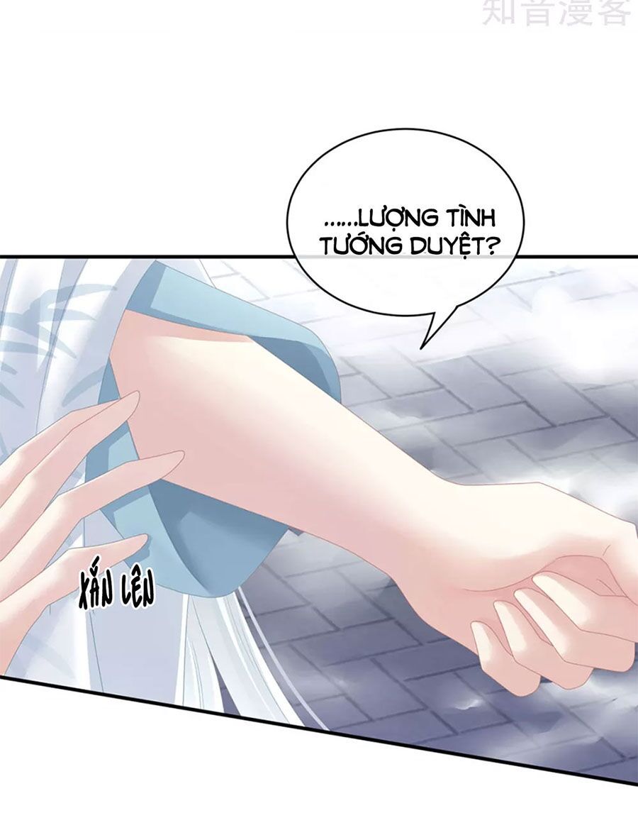 đọc truyện Hậu Cung Của Nữ Đế Chương 123 ảnh 21 tại Thiên Thai Truyện