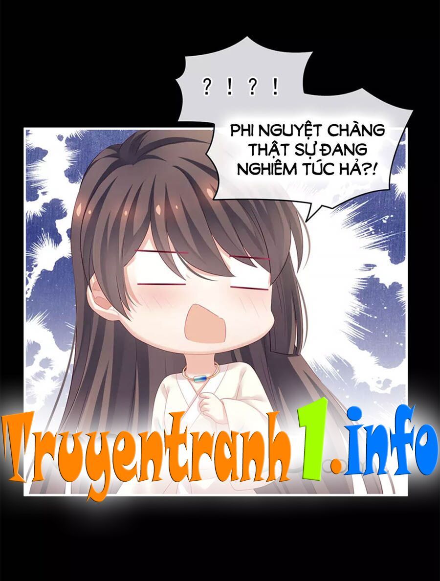 đọc truyện Hậu Cung Của Nữ Đế Chương 125 ảnh 3 tại Thiên Thai Truyện