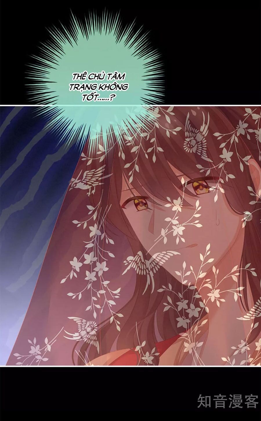 đọc truyện Hậu Cung Của Nữ Đế Chương 143 ảnh 14 tại Thiên Thai Truyện